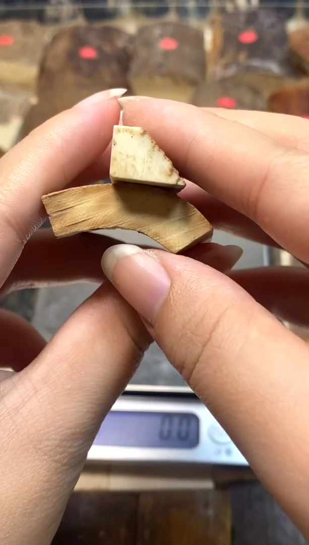 泥塑猛犸原材料练手料