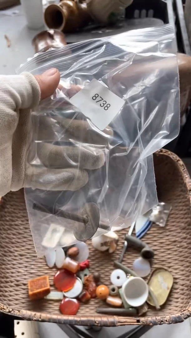 器556677882505308738