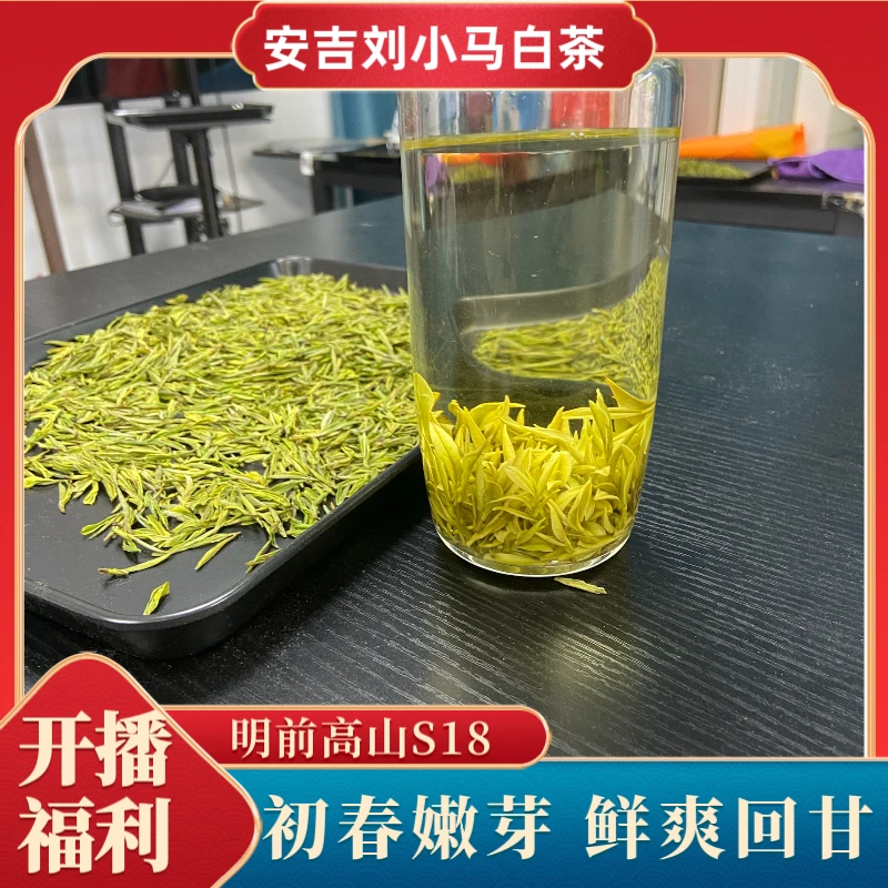 【高山福利S18】安吉刘小马2025年源头高海拔明前精品白茶甄选品质