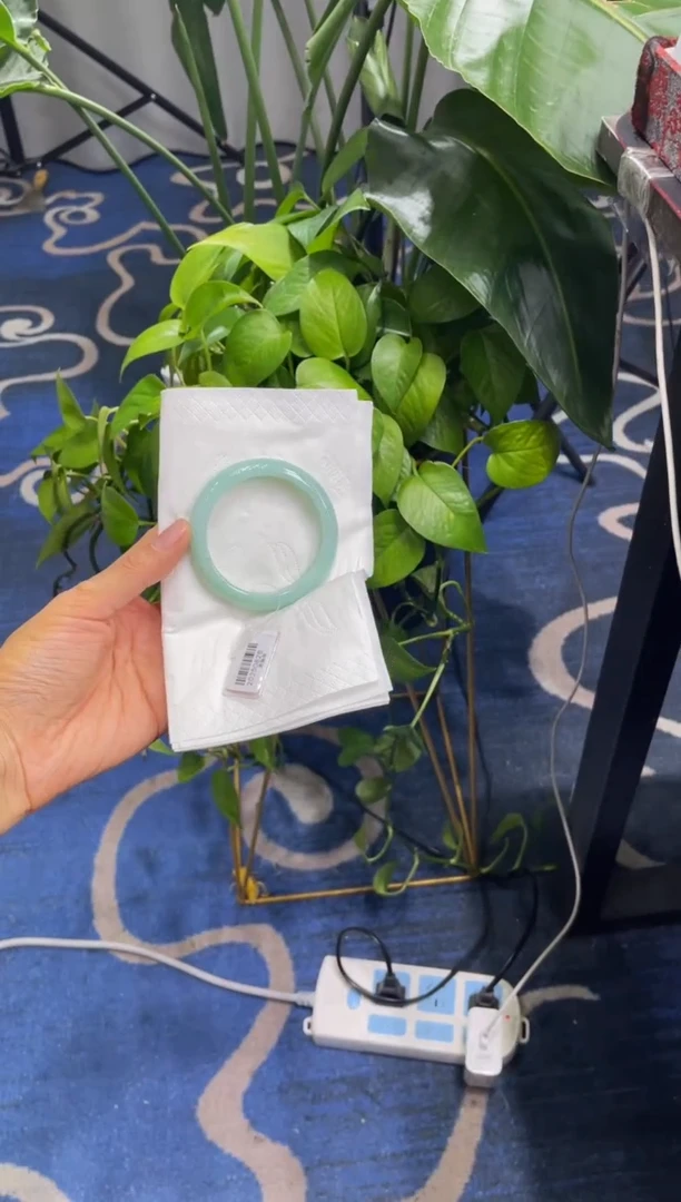 未镶嵌手镯翡翠4940****