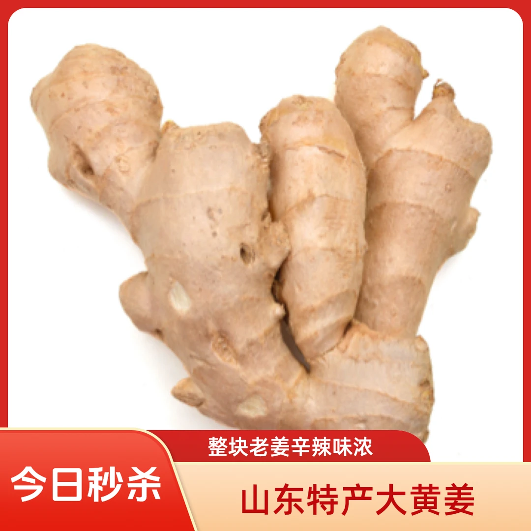老姜特产大黄姜整块老姜辛辣味浓月子姜现挖清仓大甩卖