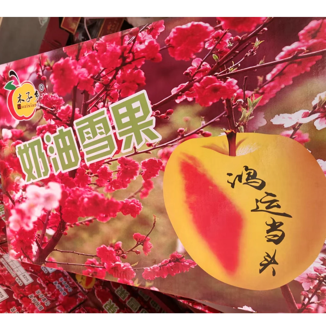 【原箱】【D】好吃的奶油富士苹果（带箱8斤左右）仅限太原榆次可拍