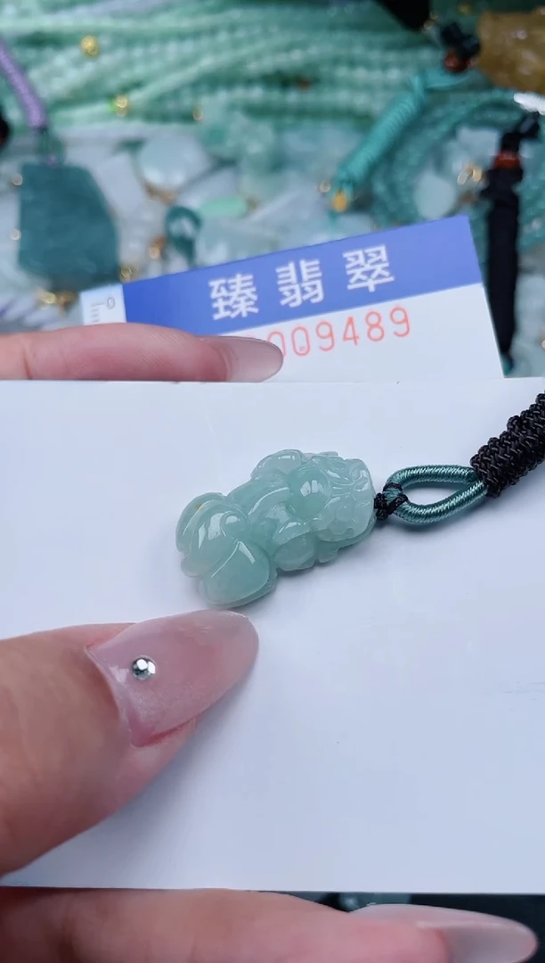 翡翠未镶嵌颈饰.0009489