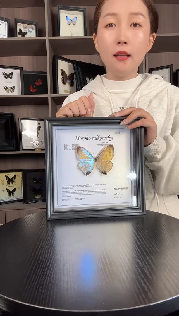 实木竖款夜明珠闪蝶（蝴蝶装饰画8寸框）