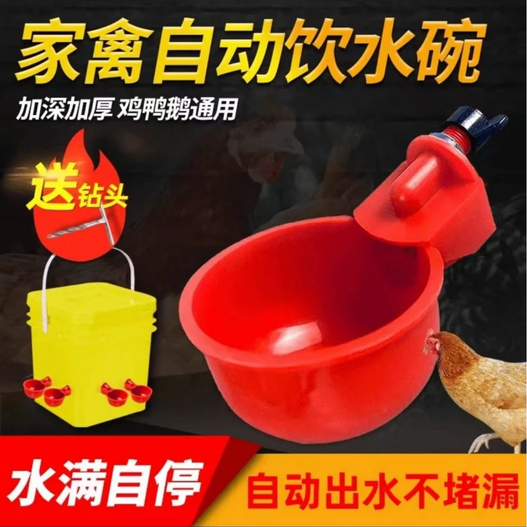 养鸡用自动饮水器鸡鸭鹅饮水碗喝水碗鹌鹑家禽鸟鸽子喂食神器养殖