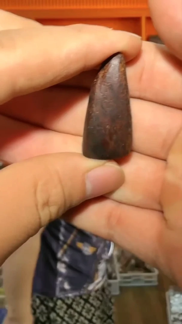 沉香吊坠155号多样性发一