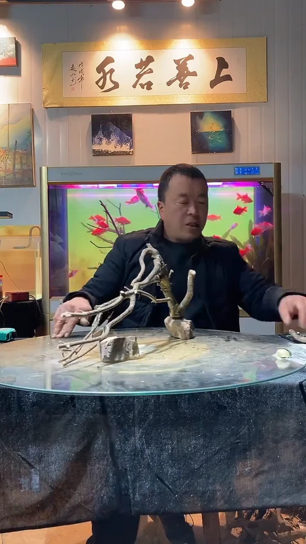 173号天然黄栎木