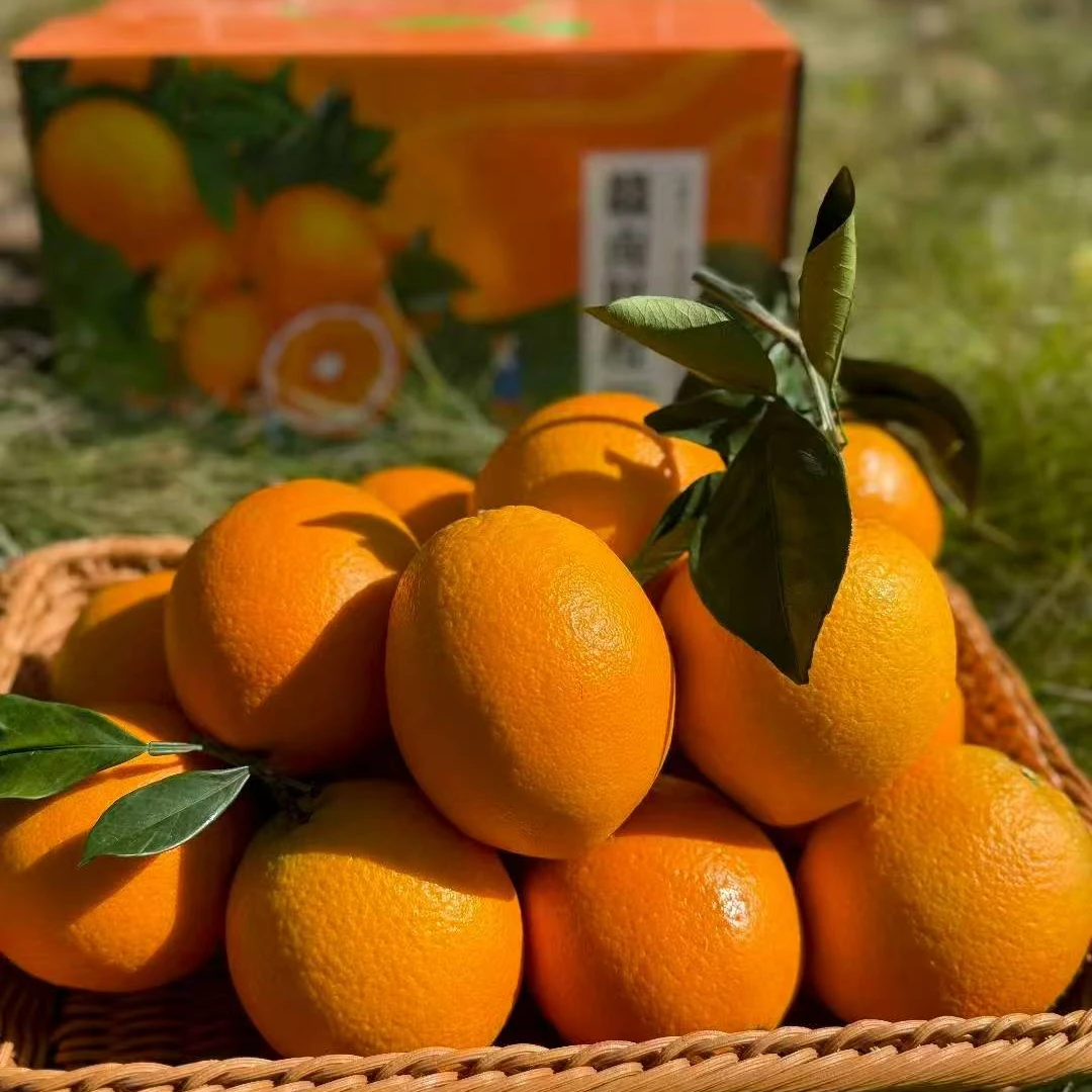 正宗江西赣南脐橙应季新鲜水果精品现摘现发