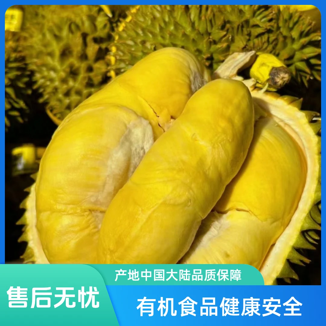 【1号】【新鲜榴莲核大核小随机】改价专用链接 现开包售后约1.5千克----6.5千克榴莲同城配金枕