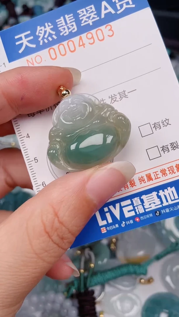 颈饰未镶嵌翡翠00004903