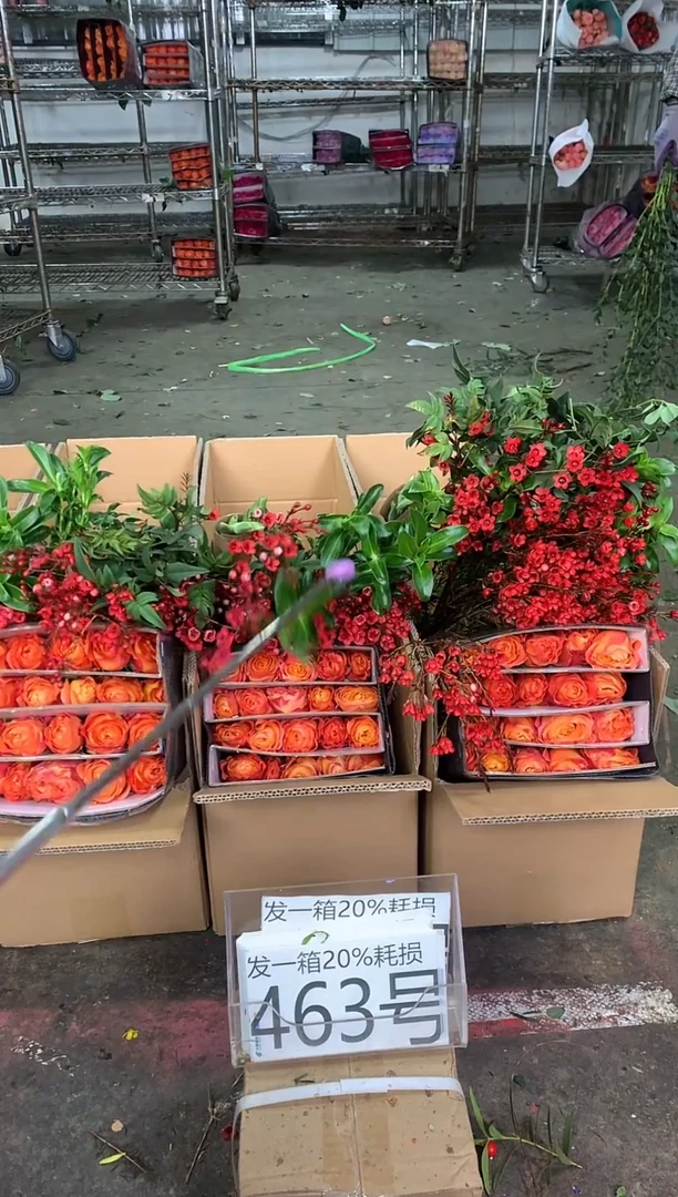 463号♥中通含20%耗损发一箱鲜花