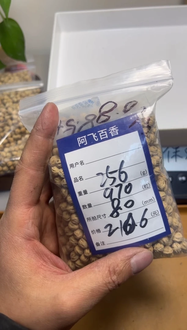 【闪购商品】柏香籽/百香籽吊坠210.6