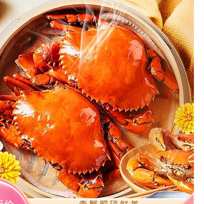 3到4两青蟹中的鲜活母膏蟹肉质饱满送礼佳品 海鲜水产