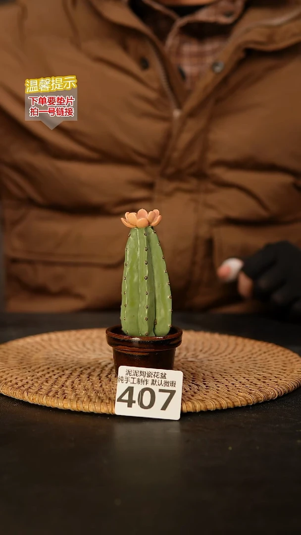 瓷片407 景德镇泥泥陶瓷 默认微瑕