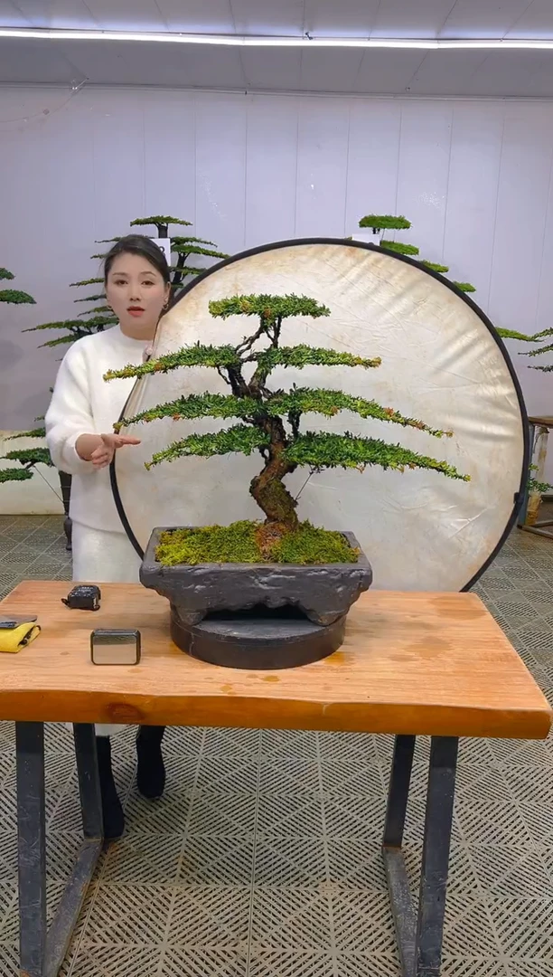 无花朵一物一拍一物一拍
