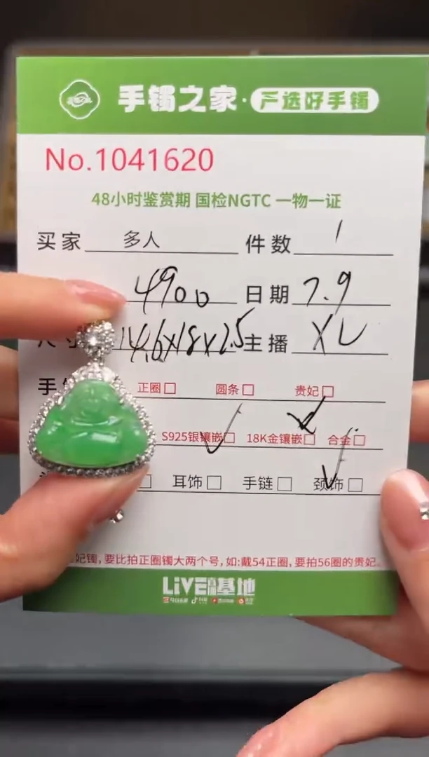 翡翠银S925镶嵌颈饰多人