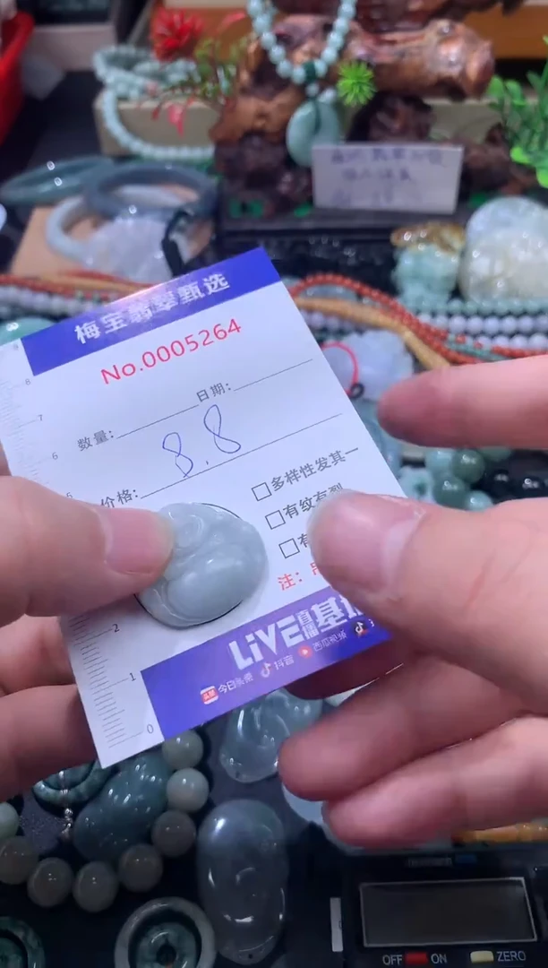 颈饰未镶嵌翡翠翡翠A货 多样性发其一 8.8一件