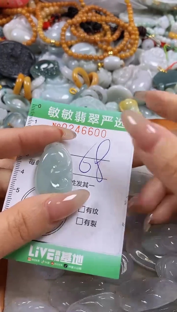 翡翠未镶嵌颈饰闪购0246600