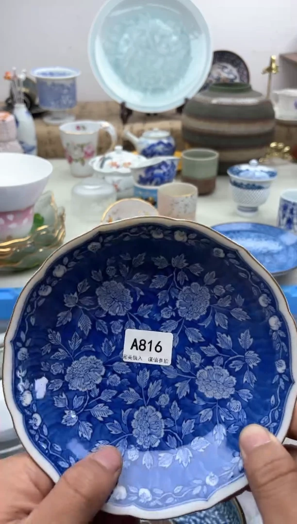 【闪购商品】碟A816...........
