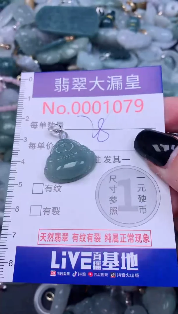 颈饰未镶嵌翡翠1079
