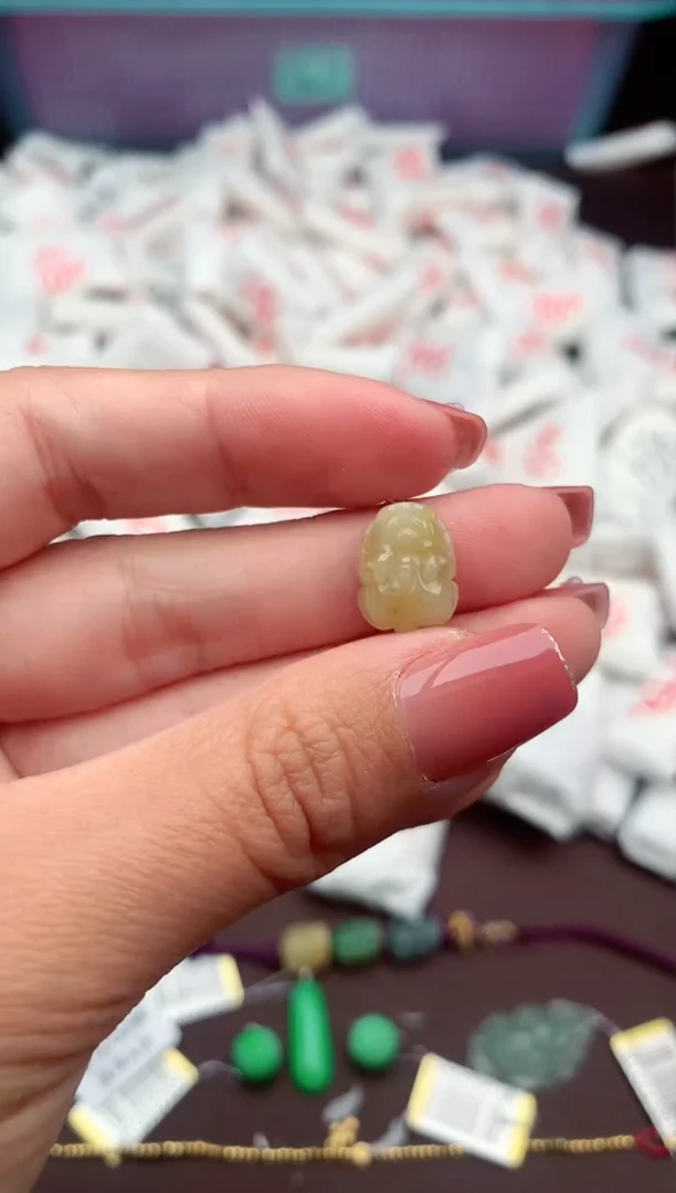 【闪购商品】翡翠颈饰未镶嵌一