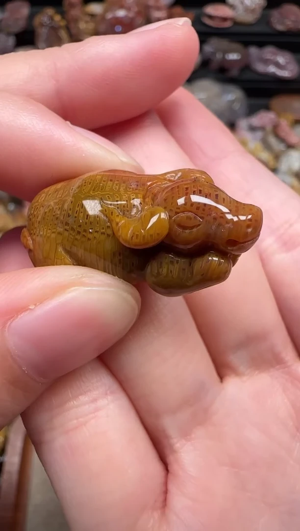 颈饰未镶嵌硅化珊瑚（珊瑚玉）633