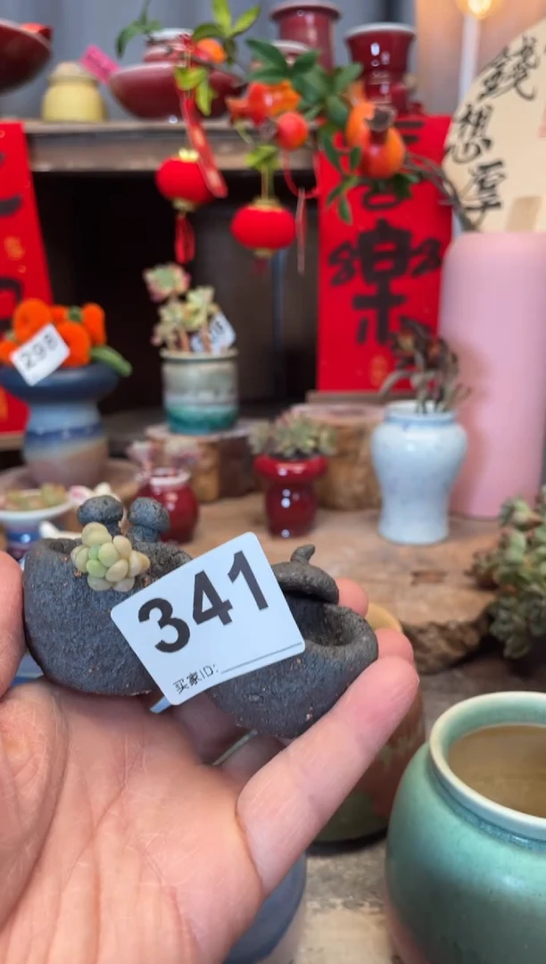 【闪购商品】摆件341知木小芳花盆