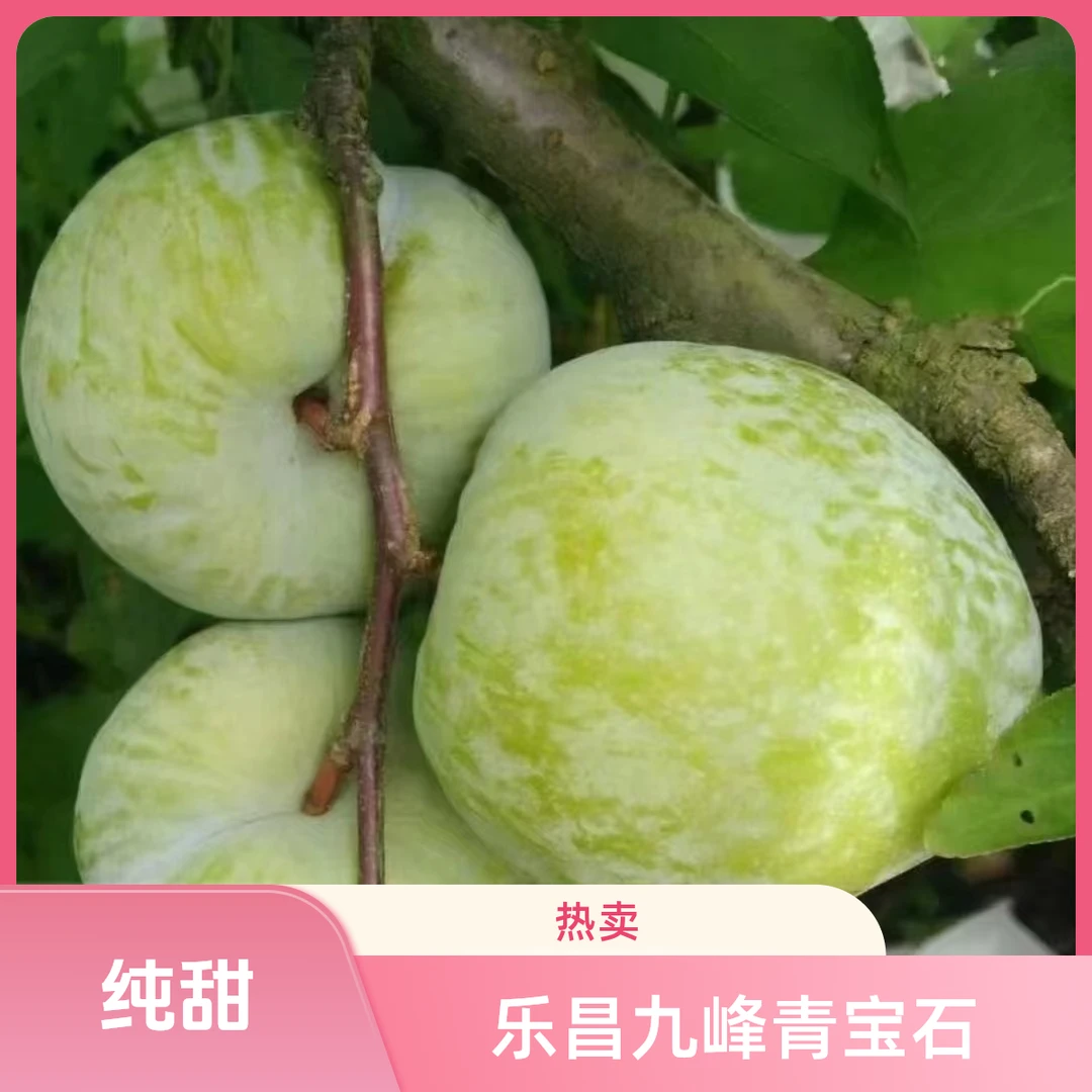 不甜包赔正宗乐昌九峰脱骨李纯甜新鲜水果当季甜脆多汁整箱包邮