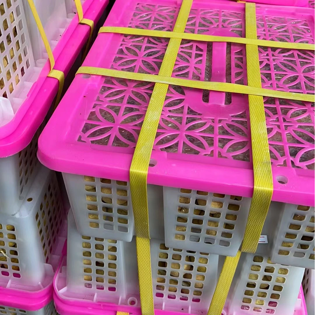 【龙眼礼盒】约10斤龙眼果实圆润饱满香甜