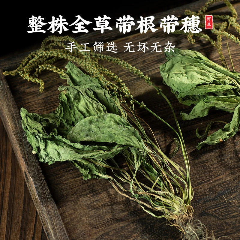 【腊月妞妞家】 车前草 阳光晾晒 整颗带跟 无熏硫车前草