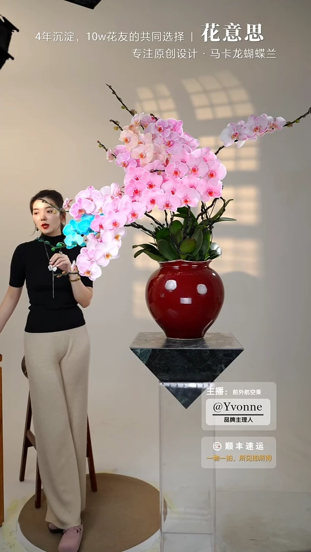 全部花朵050火之凤凰/一物一拍蝴蝶兰艺术盆景【此款仅限广东】