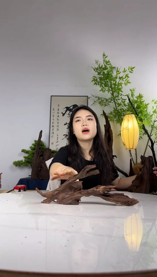 学*鱼拍这个定向编号13