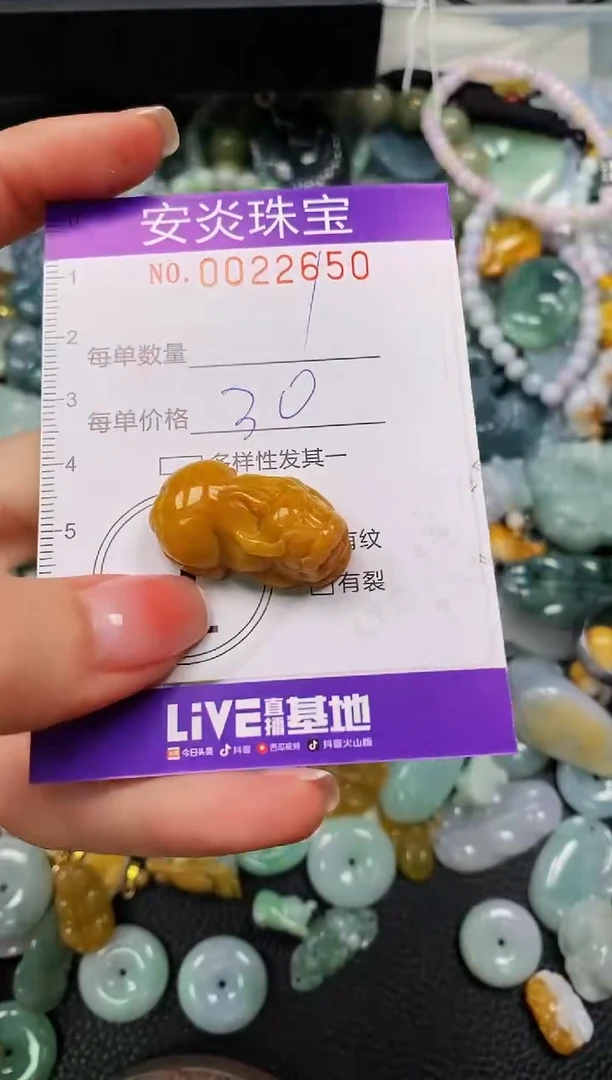 颈饰未镶嵌翡翠闪购0022650