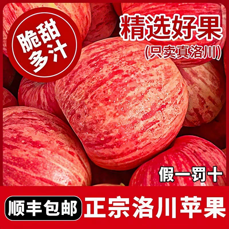 【限量福利】陕西正宗洛川红富士苹果（单颗果径80-95mm  净重2.6~3斤）新鲜苹果红富士苹果陕西省