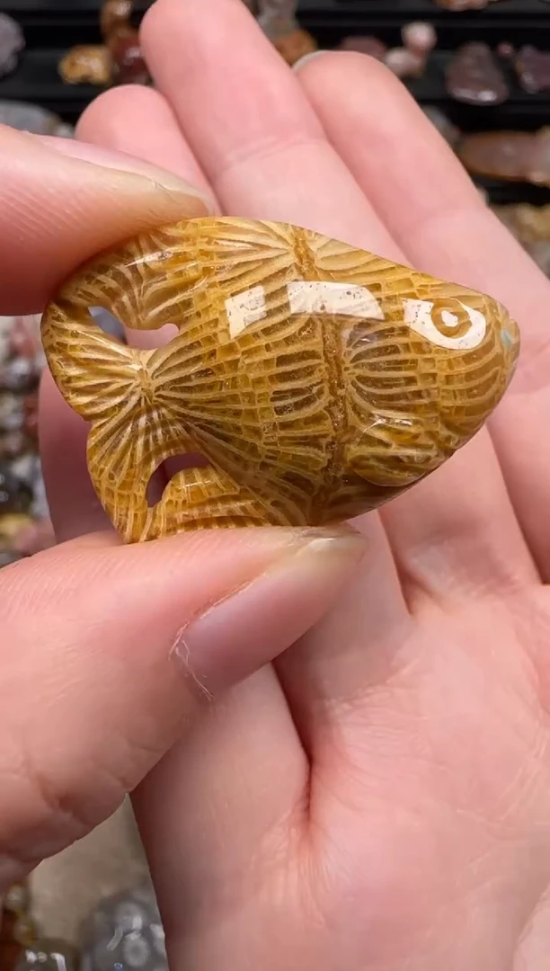 硅化珊瑚（珊瑚玉）未镶嵌颈饰544