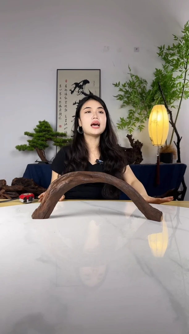 人****。拍这个定向编号54