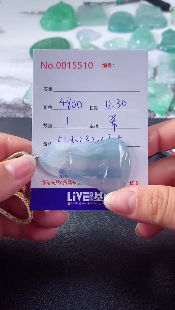 颈饰未镶嵌翡翠素衣