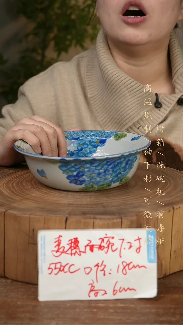 碗瓷景德镇手工手绘高温瓷釉下彩