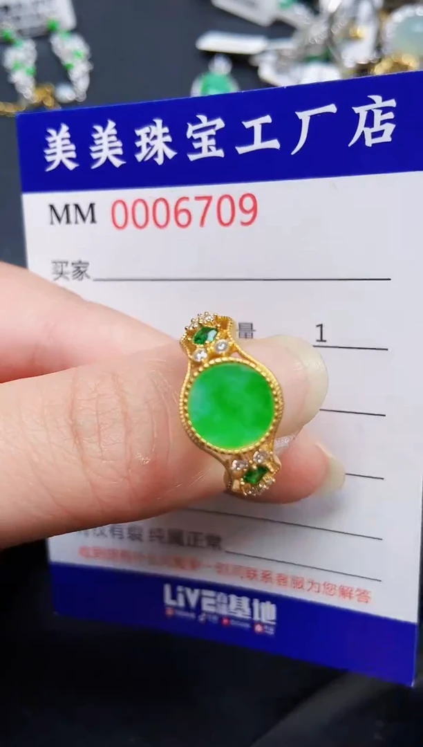 翡翠银S925镶嵌颈饰6709