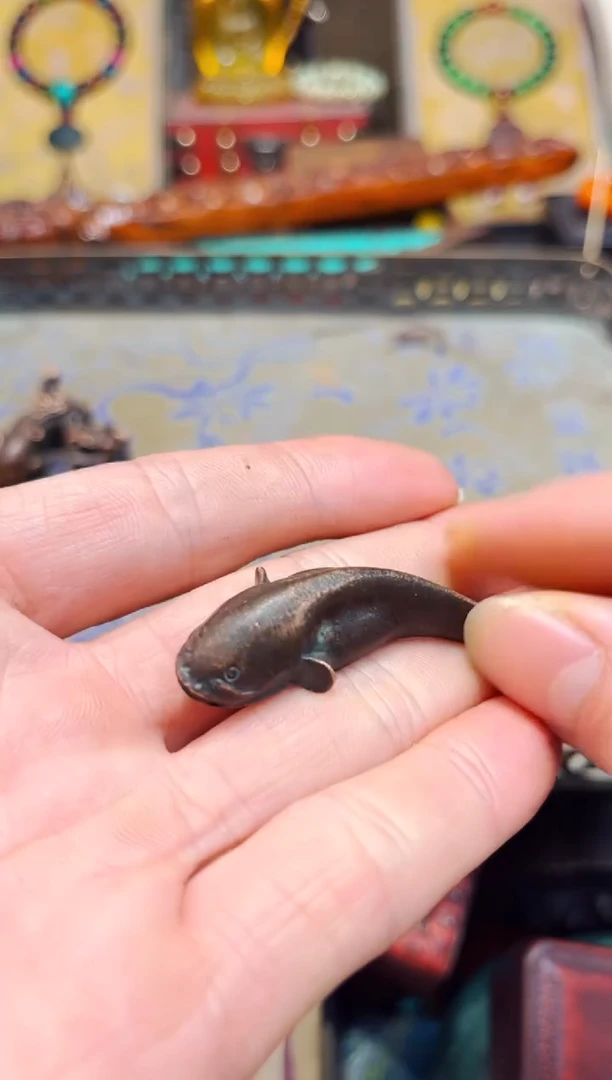 【闪购商品】E六弟专属高端精品11