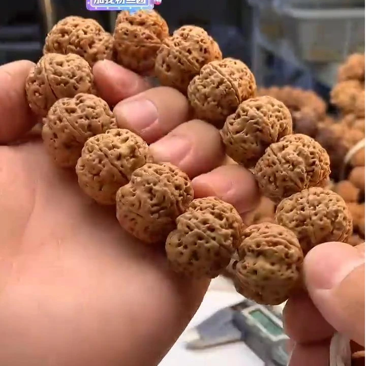 六瓣大金刚新籽菩提手串