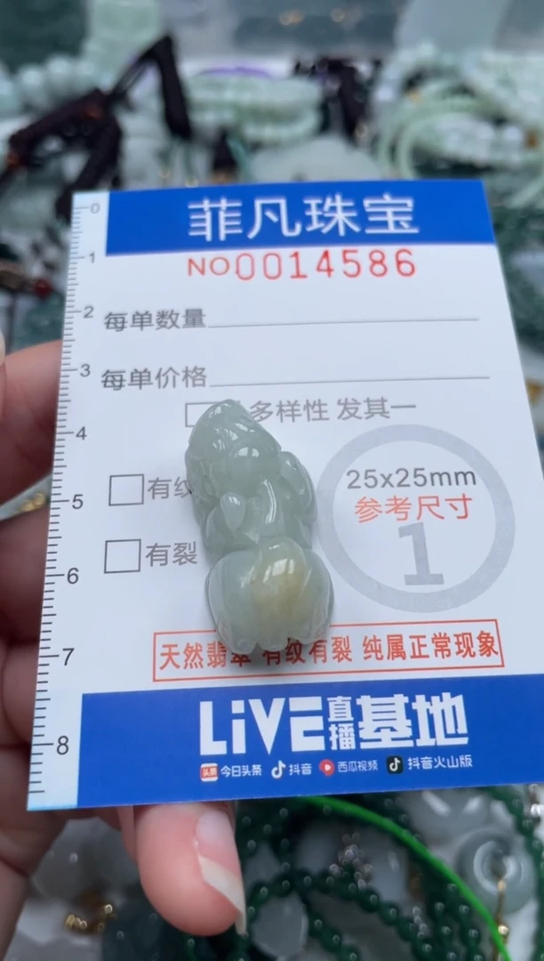 颈饰未镶嵌翡翠14586