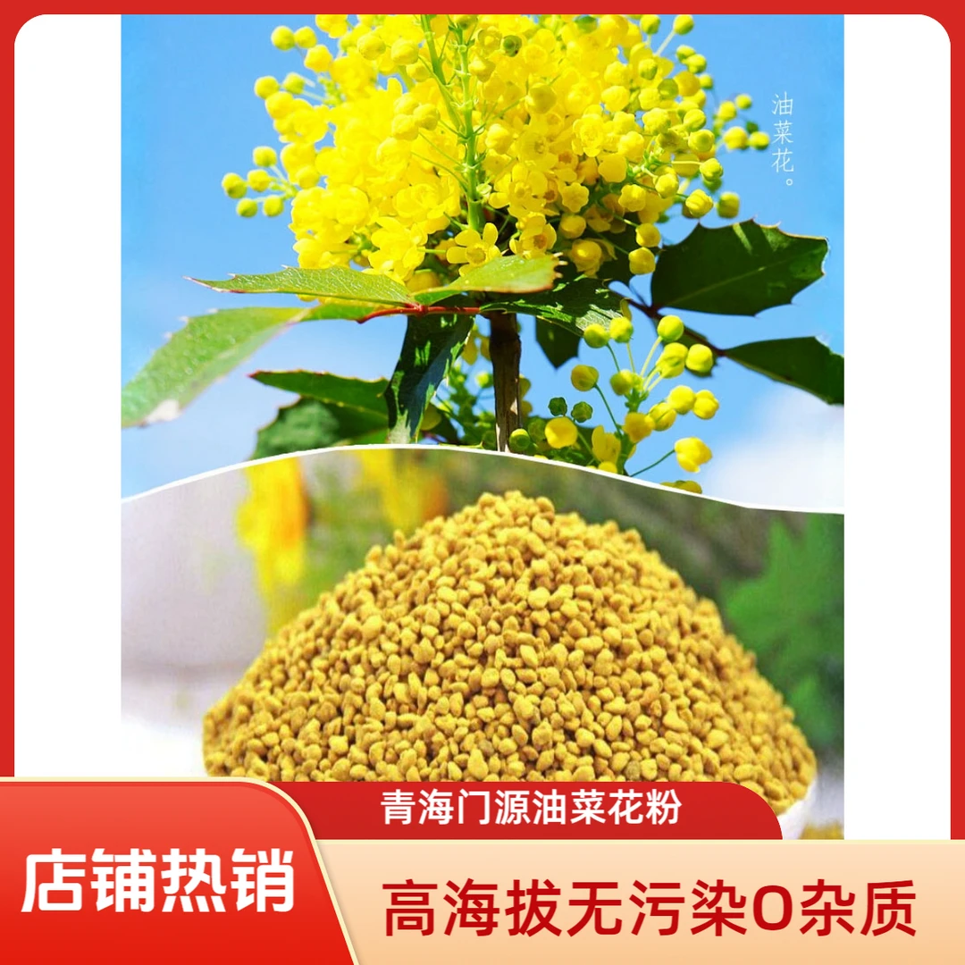 2025青海新鲜油菜花粉蜜蜂采集食用营养花粉 蜂花粉