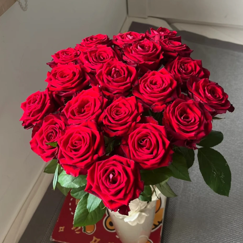 【全疆顺丰包邮】爱慕单头玫瑰 居家生活鲜花