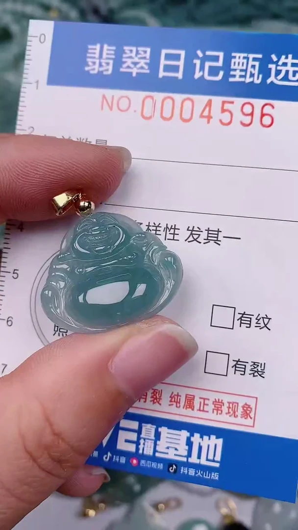 【闪购商品】翡翠颈饰未镶嵌00004596