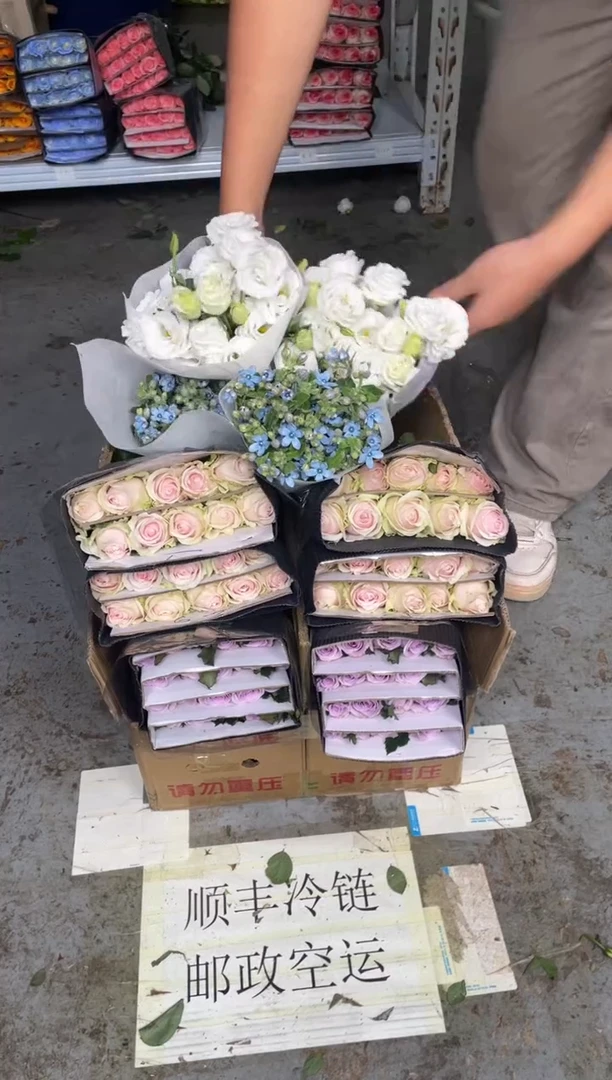 海洋之歌20枝+粉红20枝+蓝星花+白桔梗400克