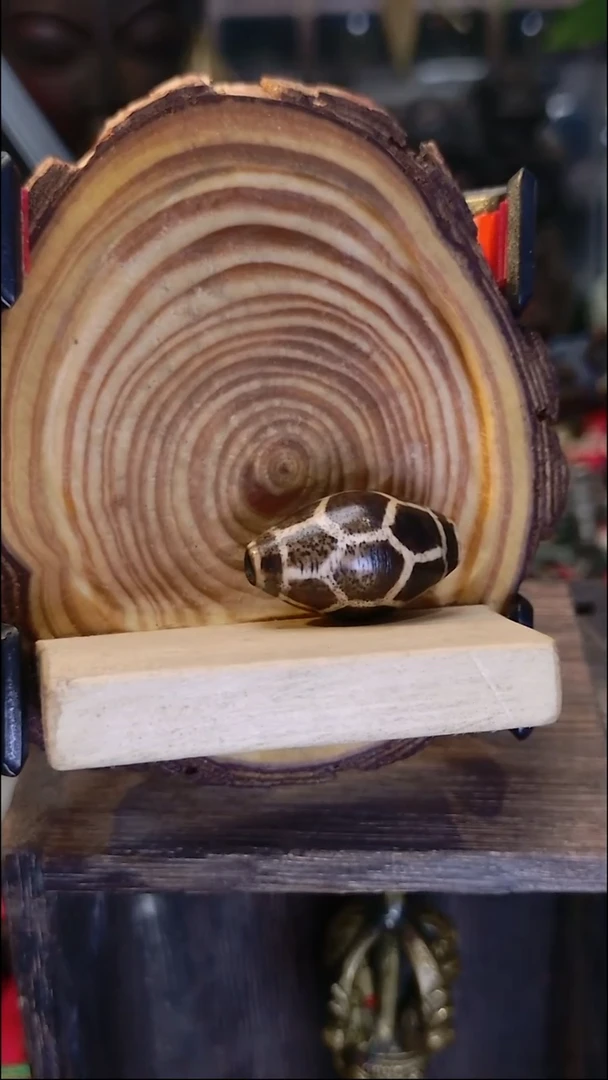 树脂制品树脂好看的好看的好看的