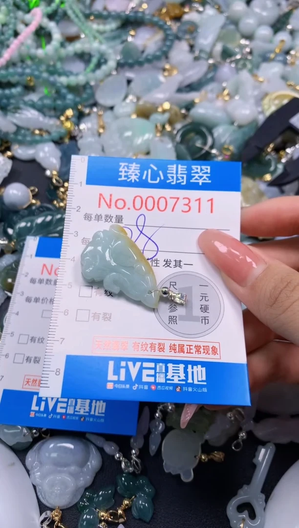 翡翠未镶嵌颈饰7311