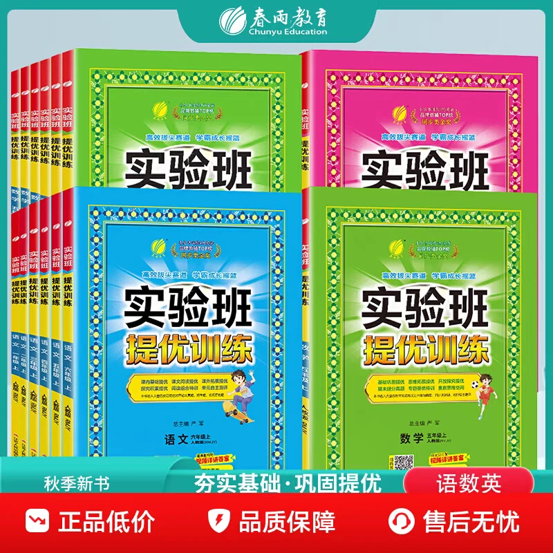 2025实验班提优训练小学语数英上册