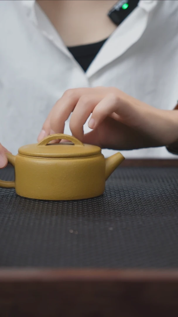 茶壶紫砂九孔柴烧精品茶具6.7-017